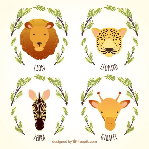 Animales africanos