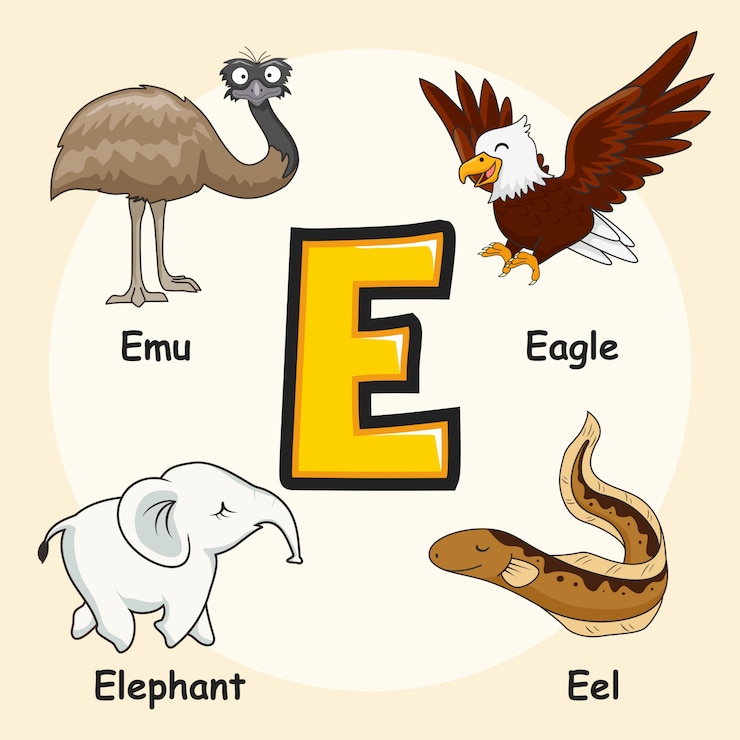 Vector animales alfabeto letra e
