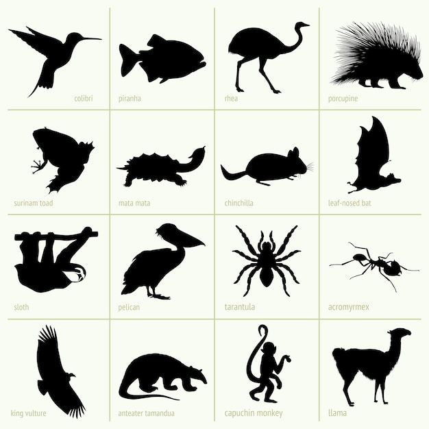 Vector animales de america del sur