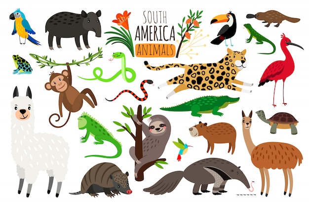 Animales de america del sur.