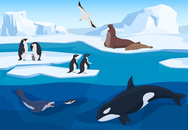 Vector animales de la antártida en un entorno natural en icebergs al estilo de dibujos animados