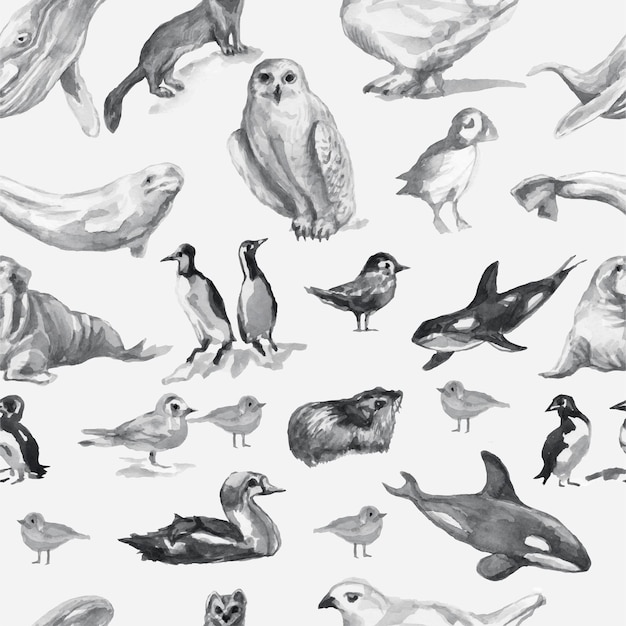 Animales Antártida pájaros ballenas peces acuarela ilustración han