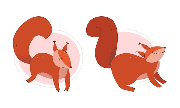 Animales de ardilla peluda con cola espesa y conjunto vectorial de pelaje rojo