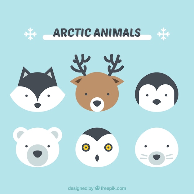 Vector animales árticos lindos