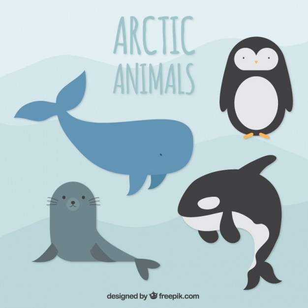 Vector animales árticos