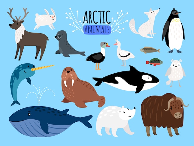 Vector animales articos