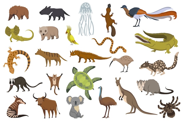 Animales de australia Colección de fauna natural Fauna local geográfica Mamíferos que viven en el continente Ilustración vectorial en estilo infantil