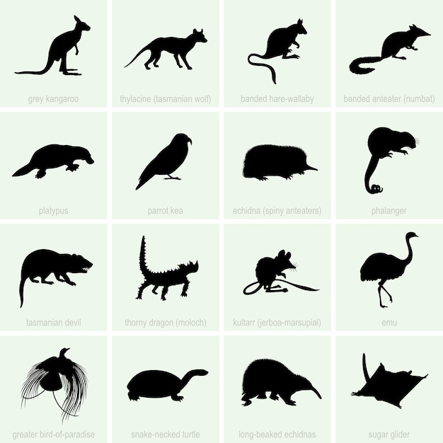 Animales de Australia