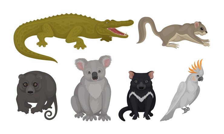 Vector animales y aves silvestres australianos aislados en un fondo blanco conjunto de vectores colección de mamíferos silvestres