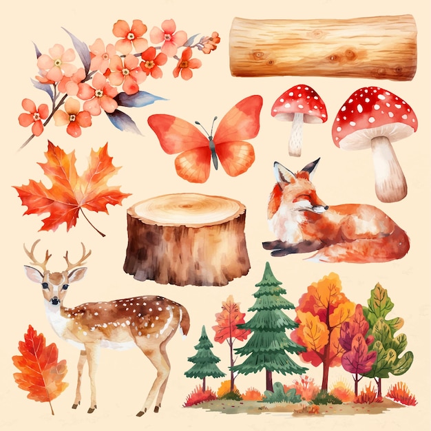 Animales del bosque y elementos de otoño