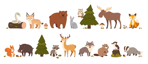 Animales del bosque lindos Bestias del bosque oso liebre y zorro alce y ardilla jabalí y ciervo lobo y serpiente tejones y mapaches castor conjunto vectorial