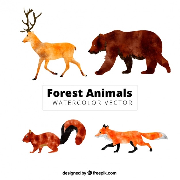 Vector animales del bosque de perfil en efecto acuarela