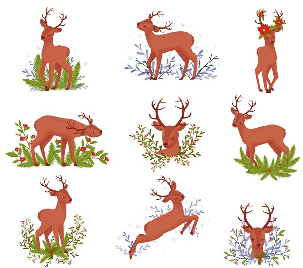 Animales ciervos en diferentes posturas con elementos florales detrás de la ilustración vectorial