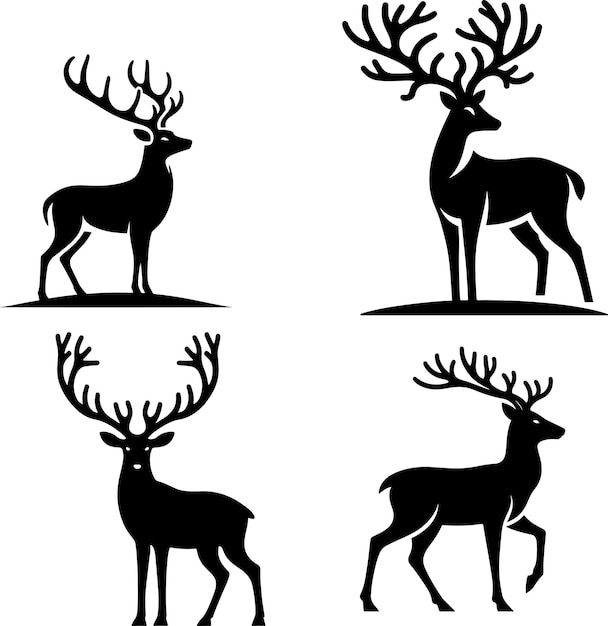 animales ciervos
