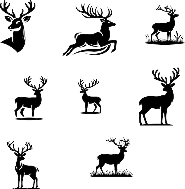 animales ciervos