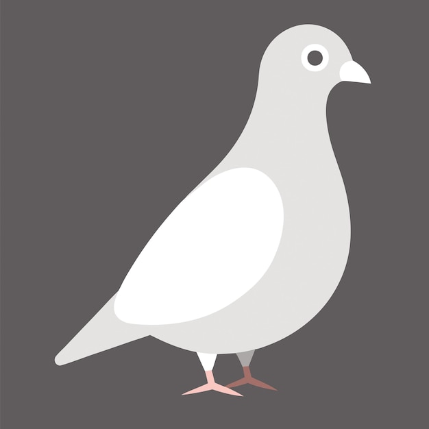 Animales Concepto Paloma en PNG plano Ilustración vectorial Diseño abstracto geométrico