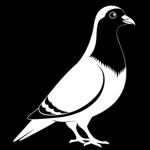 Animales Concepto Paloma en PNG plano Ilustración vectorial Diseño abstracto geométrico