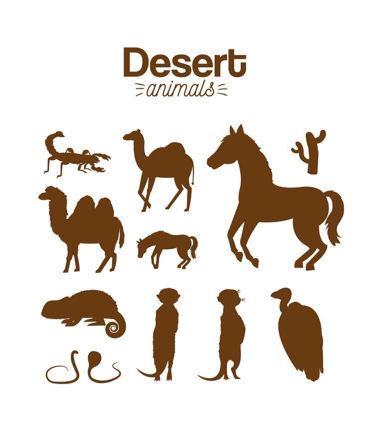 Vector animales del desierto dibujo a mano de dibujos animados