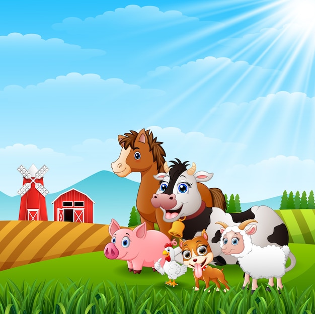 Animales felices en el fondo de la granja en la luz del día