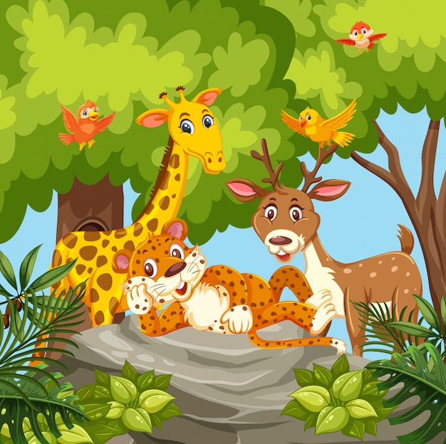 Animales felices en la jungla