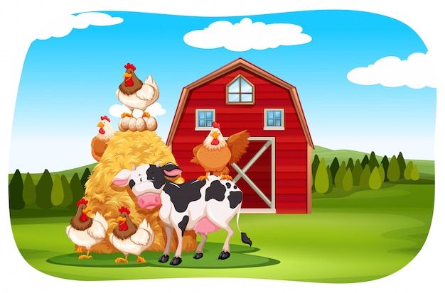 Animales de granja en el campo