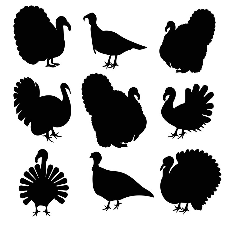 Animales de granja conjunto de vectores ilustración pavo
