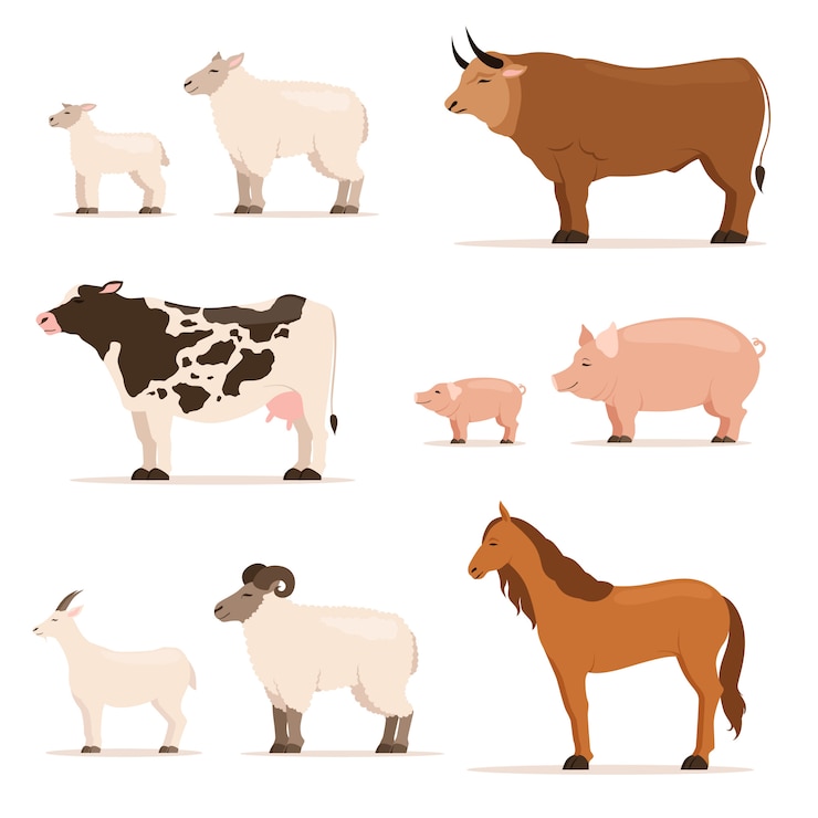 Vector animales en la granja. cordero, lechón, vaca y oveja, cabra. ilustraciones vectoriales en estilo de dibujos animados