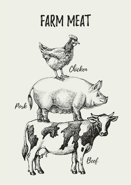 Vector animales de granja dibujados a mano vector póster de ilustración vintage en blanco y negro