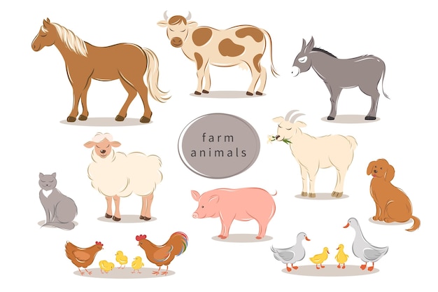 Animales de granja en fondo blanco colección de animales de dibujos animados