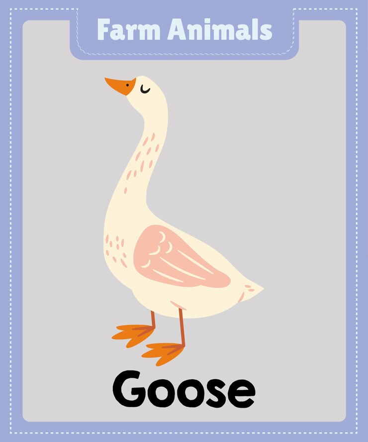 Animales de granja un ganso de dibujos animados