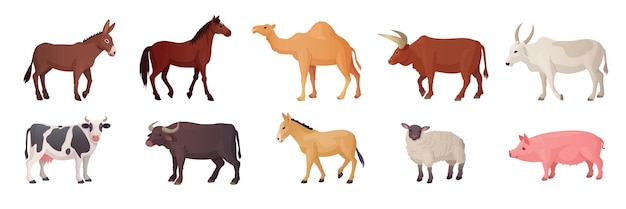 Animales de granja razas de animales países asiáticos o africanos vacas indias de cría camellos ovejas granja de ganado toro camello caballo ovejas búfalo buey vector ilustración de poni y buey camello y burro
