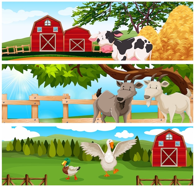 Vector animales de granja en las tierras de cultivo