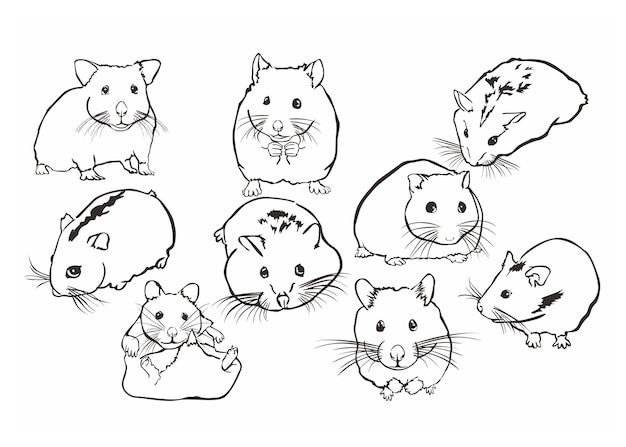 Animales de hámster lindos en el estilo Line Art Vector