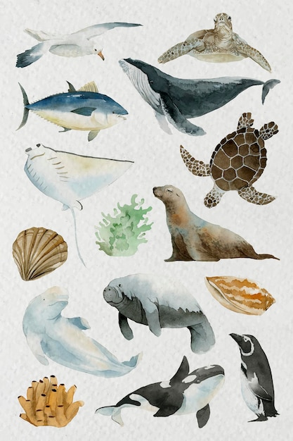 Animales del mar en acuarela set vector