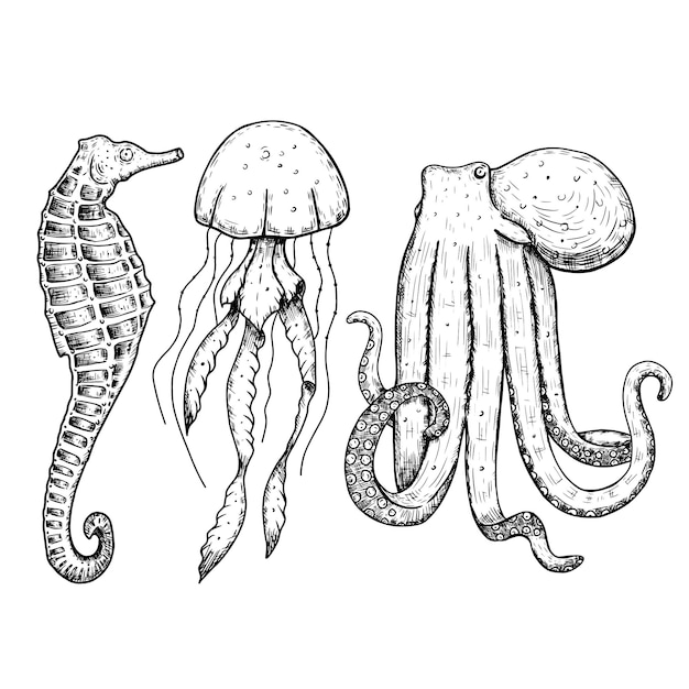 Animales marinos dibujados a mano Caballo de mar pulpo medusa Ilustración vectorial aislada sobre fondo blanco