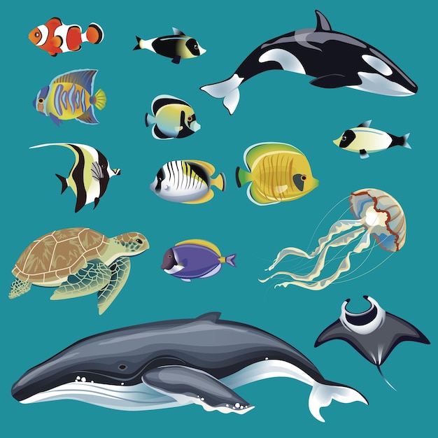 Animales marinos realistas