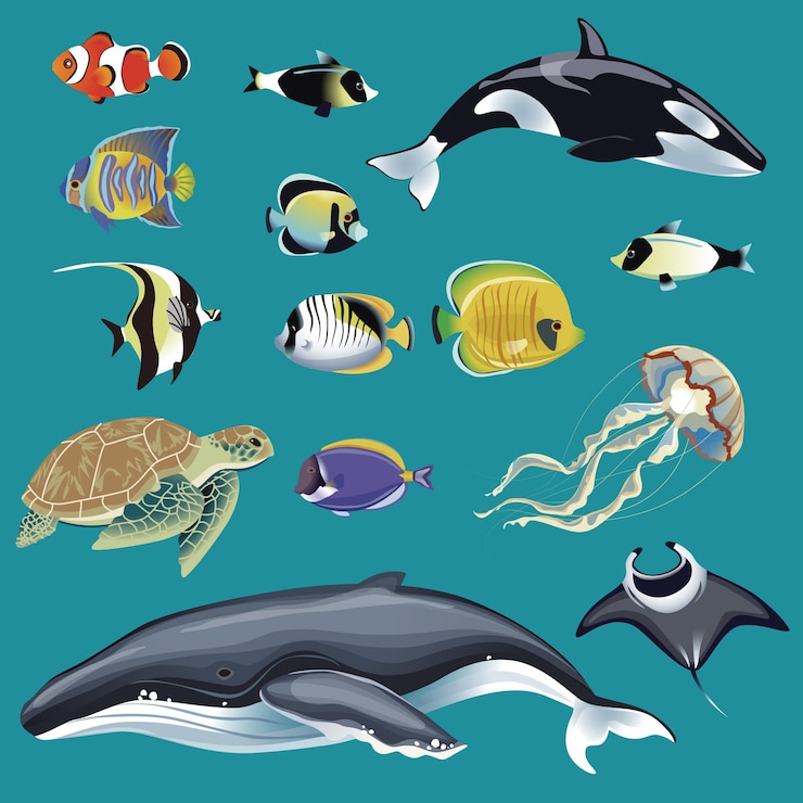 Vector animales marinos realistas