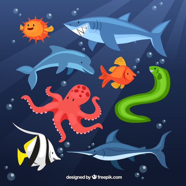 Vector animales marinos