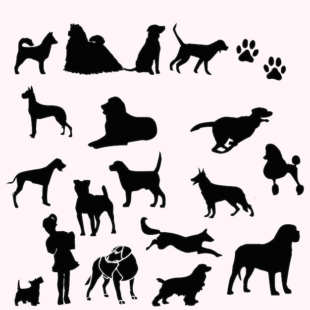 Animales nuevo diseño vectorial