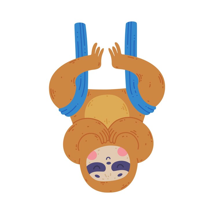 Vector animales perezosos divertidos practicando asanas de yoga colgando al revés ilustración vectorial