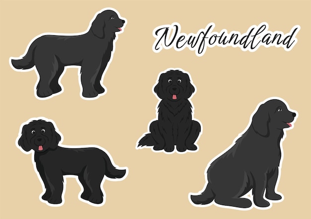 Vector animales de perro de terranova con color negro marrón o landseer en ilustración de dibujos animados de estilo plano