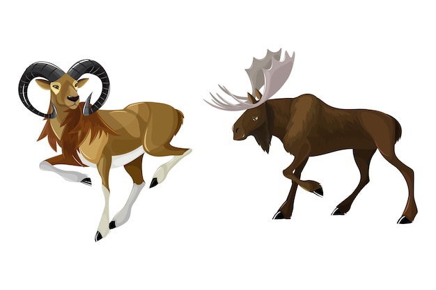 Vector animales salvajes ilustración vectorial de diseño de vida salvaje