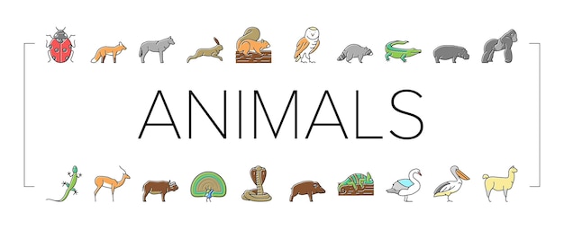 Animales salvajes insectos y pájaros iconos conjunto vector
