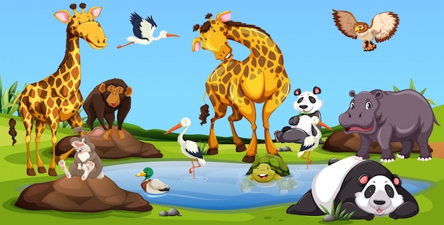Animales salvajes juntos por el pequeño grupo