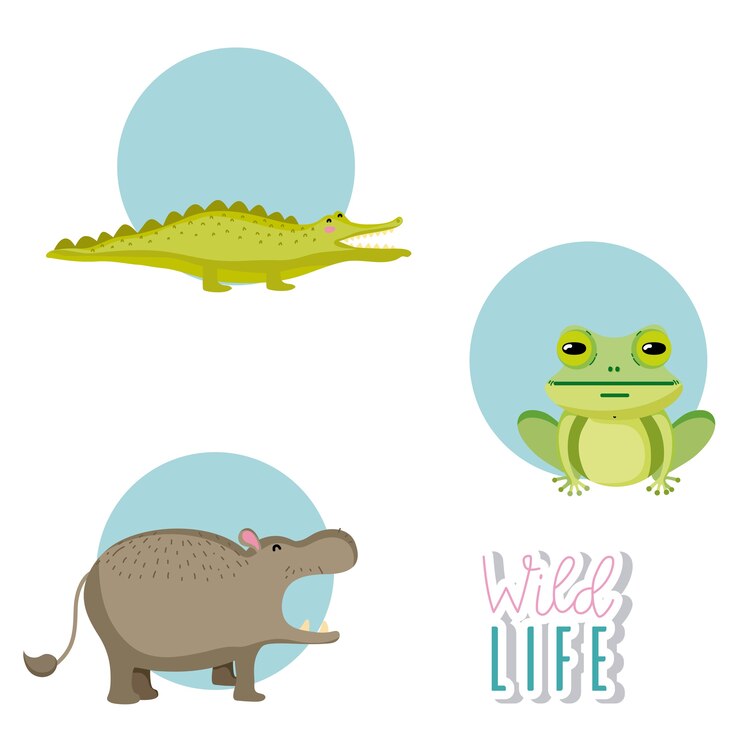 Vector animales salvajes lindos dibujos animados iconos redondos