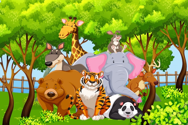 Animales salvajes en la naturaleza