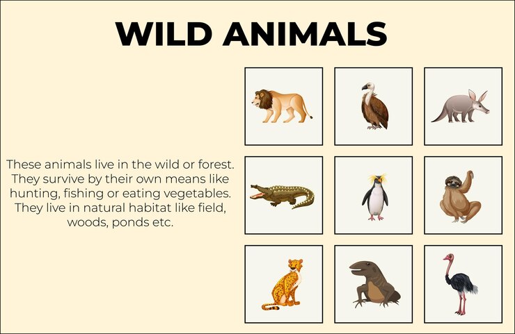 Vector animales salvajes