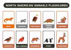 Vector animales simpáticos de américa del norte con nombres tarjetas para aprender inglés