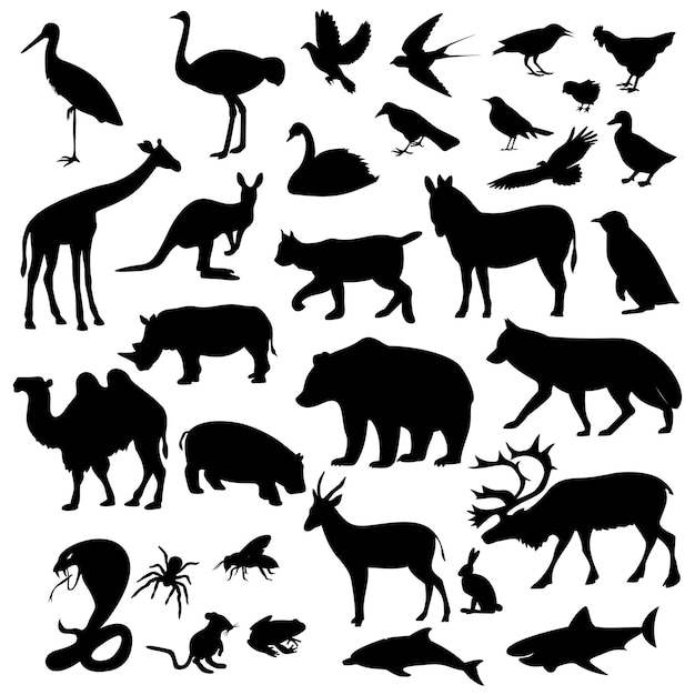 Vector los animales son diferentes