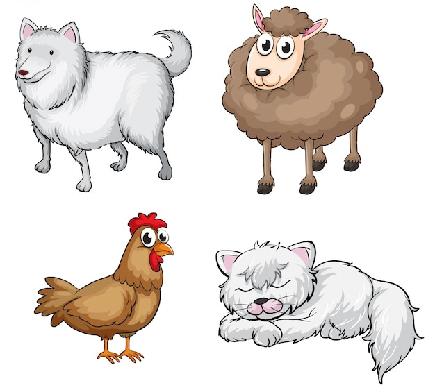 Animales terrestres | Vector Premium